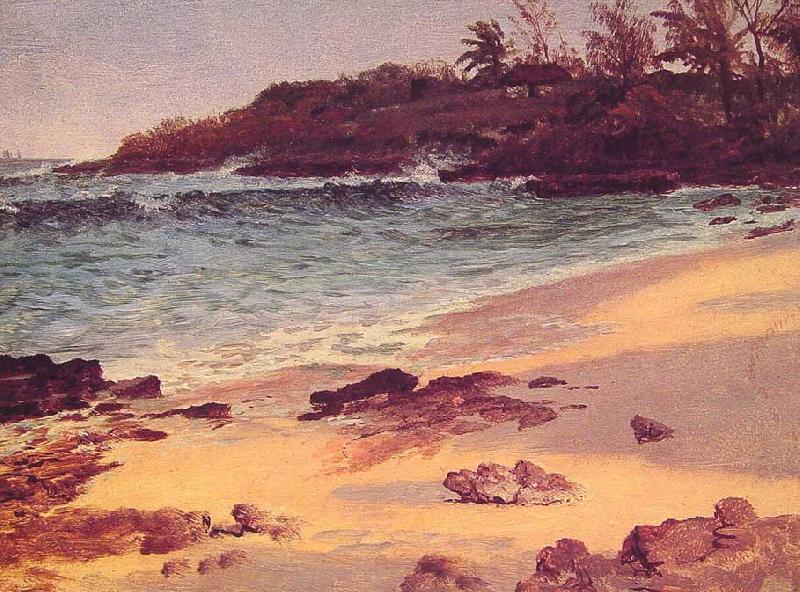 Albert Bierstadt Bahama Cove oil painting picture